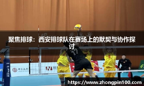聚焦排球:西安排球队在赛场上的默契与协作探讨